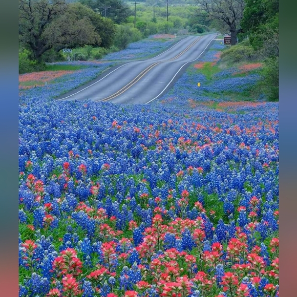 Meet your Posher, Sabrina - Picture 1 of 1